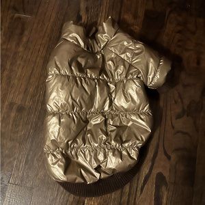 Winter Jacket for Dogs